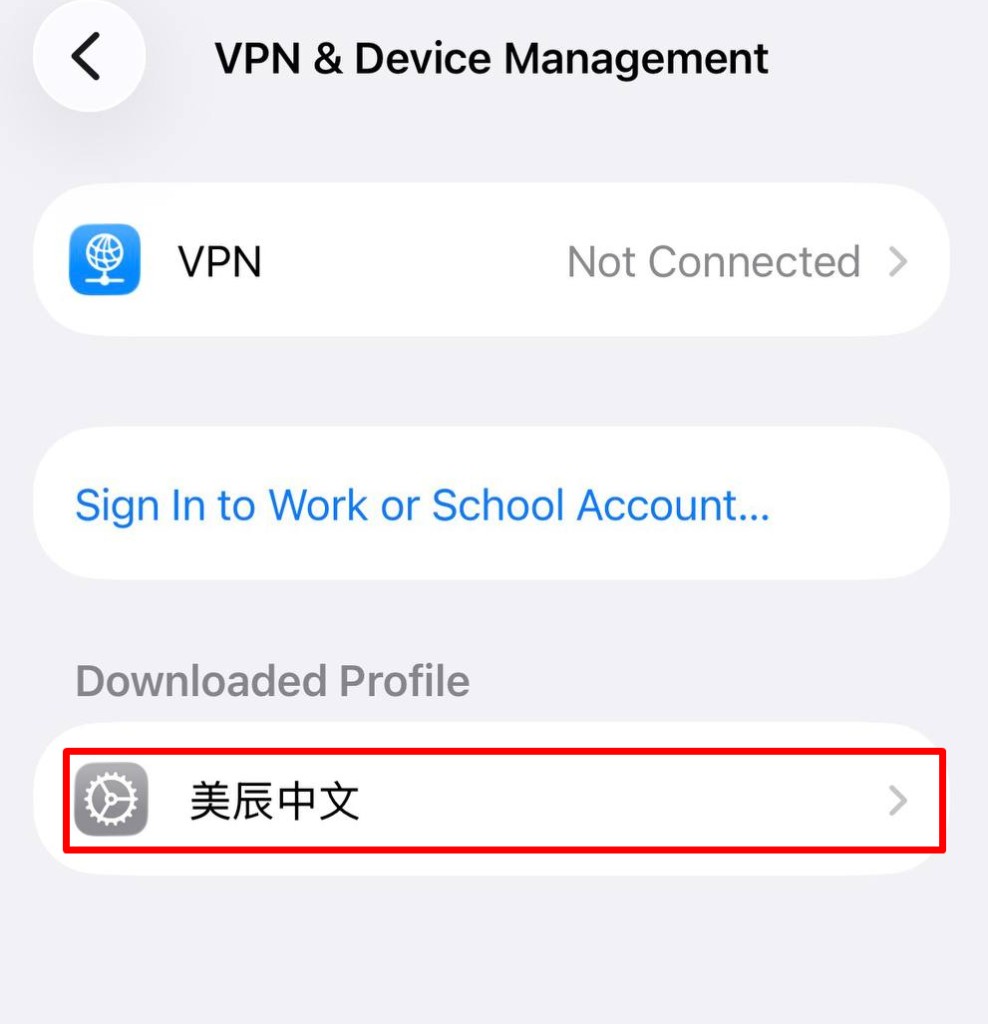 ចូលទៅកាន់ «VPN & ការគ្រប់គ្រងឧបករណ៍» ហើយចុចលើ «美辰中文» នៅក្នុង «កម្រងព័ត៌មានដែលបានទាញយក»។